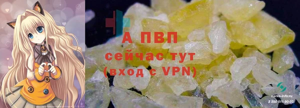 Альфа ПВП Магадан