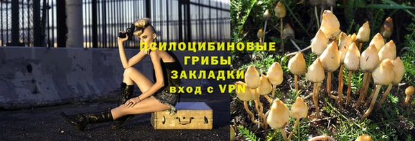 Альфа ПВП Магадан