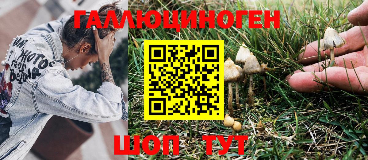 Галлюциногенные грибы прущие грибы Ковров