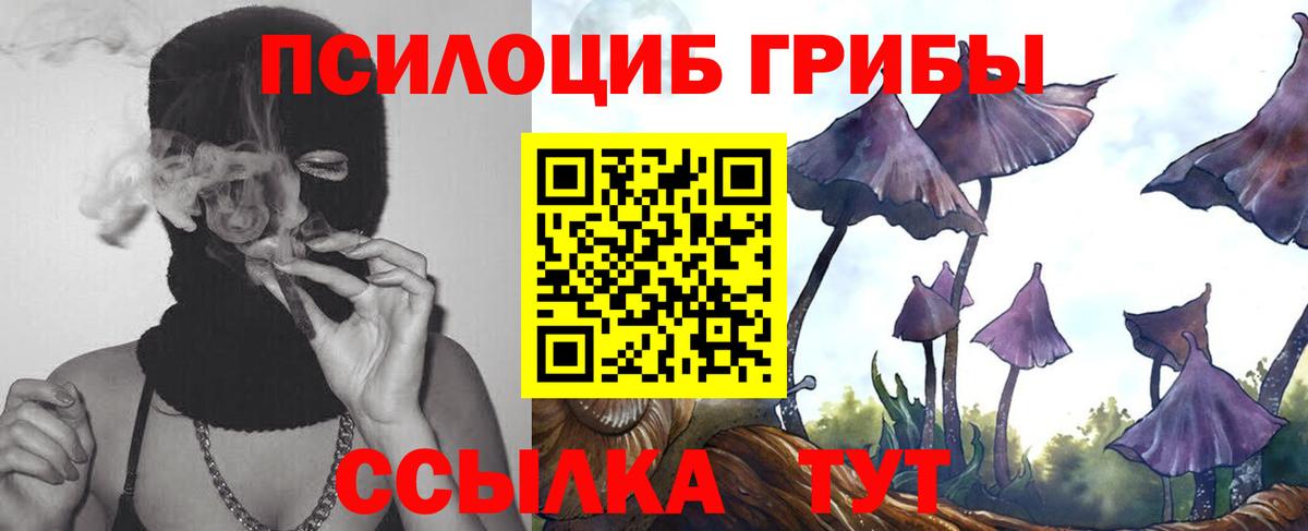 Псилоцибиновые грибы Psilocybe  Псилоцибиновые грибы MAGIC MUSHROOMS  Вход с VPN  где можно купить   Ковров 